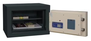 Griffon FS 30 E